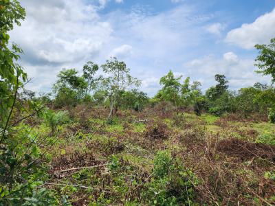 Own 100% Fertile Farmland, Ideal for Cocoa Farming, Off Funaab, Alabata Road, Odeda, Ogun, Mixed-use Land for Sale