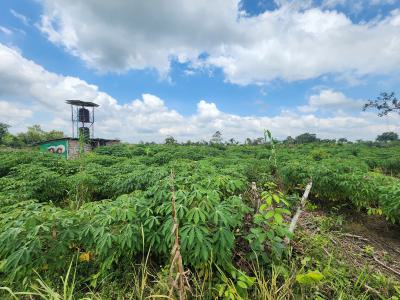 Own Acres of 100% Fertile Land Suitable for Cassava Farming, Off Funaab, Alabata Road, Odeda, Ogun, Mixed-use Land for Sale