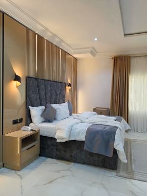 Luxurious 1 Bedroom Serviced Apartment The Sunset, Guzape District, Abuja, Detached Duplex Short Let