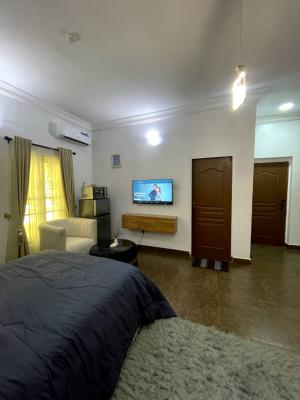 1bedroom Furnished Shared Apartment with Kitchenette, Lekky County, Lekki, Lagos, Flat / Apartment Short Let