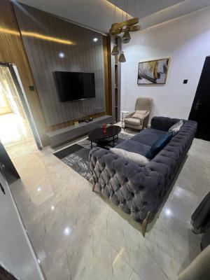 Upgraded Miniflat with Separate Fitted Kitchen in Osapa London Estate, Osapa London Estate, Osapa, Lekki, Lagos, Mini Flat (room and Parlour) for Rent