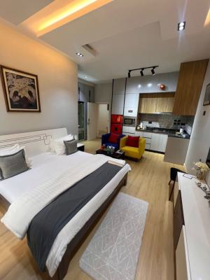 Luxurious 1 Bedroom Apartment for Short Stays, Asokoro District, Abuja, Mini Flat (room and Parlour) for Rent