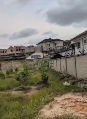 Land Measuring 650sqmeters Directly on a Tarred Interlocked Road, Ifako, Gbagada, Lagos, Residential Land for Sale
