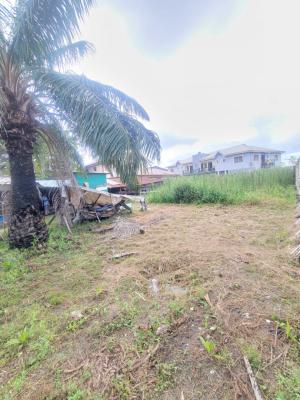a Full Plot of Land, Langbasa, Ajah, Lagos, Land for Rent