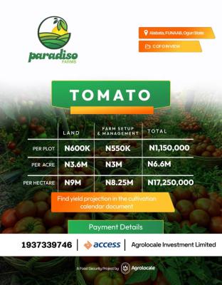 Invest in a Very Affordable Farm Land and Enjoy Annual Profit, Tejoun Kesi Village, Alabata – Funaab Axis, Abeokuta North, Ogun, Industrial Land for Sale