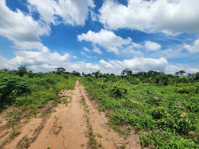 Get an Acre of Land for Farming with a Promo Offer, Off Funaab, Alabata Road, Odeda, Ogun, Mixed-use Land for Sale