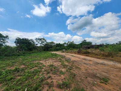 Own 100% Fertile Farmland, Ideal for Oil Palm Farming, Off Funaab, Alabata Road, Odeda, Ogun, Mixed-use Land for Sale