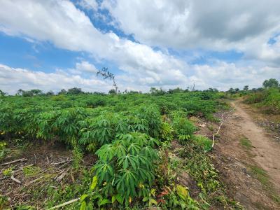 Acres of Farmland with a Promo Offer Suitable for Cassava Plantation, Off Funaab, Alabata Road, Odeda, Ogun, Mixed-use Land for Sale