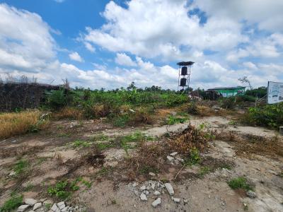 Acres of Farmland with a Promo Offer Suitable for Cocoa Plantation, Off Funaab, Alabata Road, Odeda, Ogun, Mixed-use Land for Sale