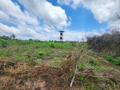 Own Productive Farmland Suitable for Plantain Farming, Off Funaab, Alabata Road, Odeda, Ogun, Mixed-use Land for Sale