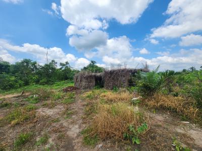 Start Earning From Agriculture with Affordable Farmland, Off Funaab, Alabata Road, Odeda, Ogun, Mixed-use Land for Sale