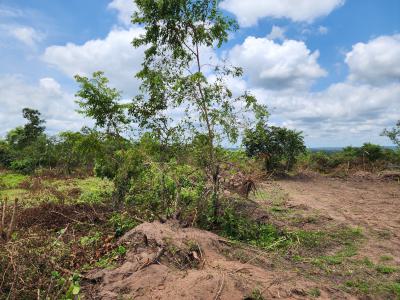 Own Hectares of Farmland Investment That Pays You Over Time, Off Funaab, Alabata Road, Odeda, Ogun, Mixed-use Land for Sale