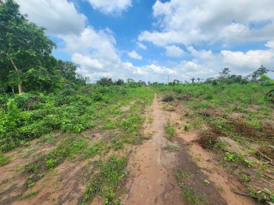 Own Hectares of Fertile Farmland That Pays You Every Season, Off Funaab, Alabata Road, Odeda, Ogun, Mixed-use Land for Sale