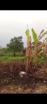 1053.79sqm Plot of Land (ready to Build), Ajah, Lagos, Land Joint Venture