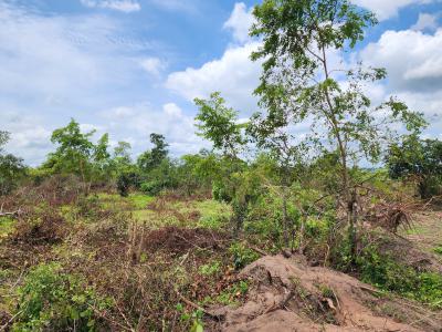 Get Your Own Farmland and Start Cultivating Cashew, Off Funaab, Alabata Road, Odeda, Ogun, Mixed-use Land for Sale