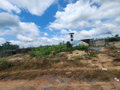 Own 100% Fertile Farmland, Ideal for Cassava Farming, Off Funaab, Alabata Road, Odeda, Ogun, Mixed-use Land for Sale