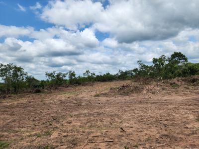 Own 100% Fertile Farmland, Ideal for Cocoa Farming, Off Funaab, Alabata Road, Odeda, Ogun, Mixed-use Land for Sale