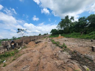 Get Your Own Farm Plots and Start Cultivating, Off Funaab, Alabata Road, Odeda, Ogun, Mixed-use Land for Sale