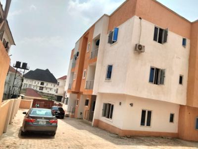 Newly Renovated 3 Bedroom Flat in a Spacious Compound, By American International School, Durumi, Abuja, Flat / Apartment for Rent