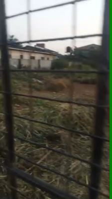 Vacant Land, U- Turn, Abule Egba, Agege, Lagos, Residential Land for Sale