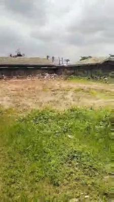 Vacant Land, Segun Akinola,off Agbe Road, New Oko-oba, Agege, Lagos, Land for Sale