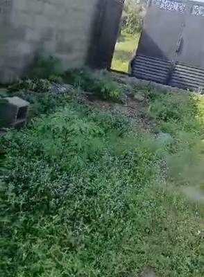 Sizeable Half Plot of Land in a Well Secured Liveable Estate, Yaba Tech Estate Fence and Gated Land, Oribanwa, Ibeju Lekki, Lagos, Residential Land for Sale