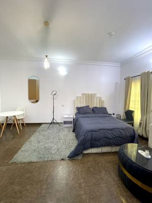 Nice 1 Bedroom Shared, Lekki County, Ikota, Lekki, Lagos, Flat / Apartment Short Let