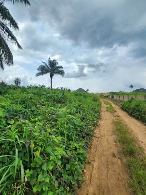 Strategically Located Plot of Land, Shelter Afrique Estate Extension, Uyo, Akwa Ibom, Residential Land for Sale
