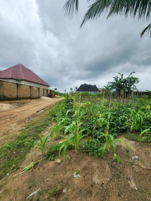 Fantastic Plot of Dry Land, Ifa Ikot Okpon, Uyo, Akwa Ibom, Residential Land for Sale