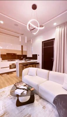 2 Bedroom Apartment with Private Swimming Pool and Gym, Ikate, Lekki, Lagos, Flat / Apartment Short Let