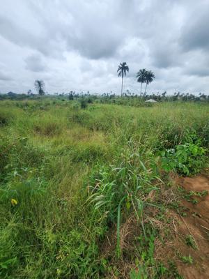Fantastic Plot of Land, Ifa Ikot Okpon, Uyo, Akwa Ibom, Land for Sale