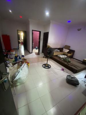 Standard and Luxurious Mini Flat in a Well Serene and Secured Environs, Lekki Phase 1, Lekki, Lagos, Mini Flat (room and Parlour) for Rent