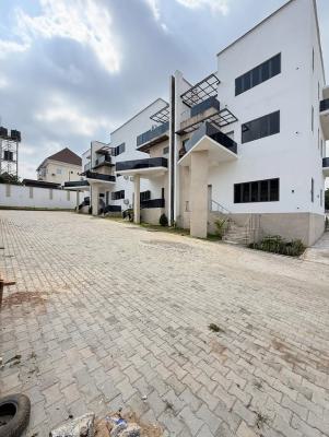 Newly Built and Luxurious 4 Bedroom Semi-detached Duplex with Bq, Asokoro District, Abuja, Semi-detached Duplex for Rent