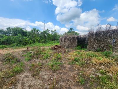 Secure a Farmland That Works While You Rest, Off Funaab, Alabata Road, Odeda, Ogun, Mixed-use Land for Sale