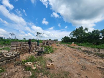 Make Money From Farming Without Doing The Work, Off Funaab, Alabata Road, Odeda, Ogun, Mixed-use Land for Sale
