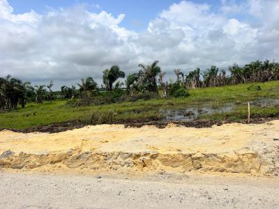 Over 40 Plots of Land, Lagos Calabar Expressway, Okun-ajah, Ajah, Lagos, Mixed-use Land for Sale