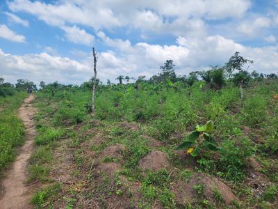 Join Hundreds of Investors Making Millions From Farmland, Off Funaab, Alabata Road, Odeda, Ogun, Mixed-use Land for Sale