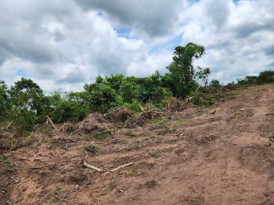 Invest in Acres of Farmland with Guaranteed Profitability, Off Funaab, Alabata Road, Odeda, Ogun, Mixed-use Land for Sale