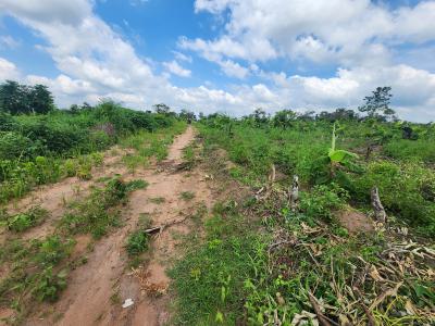 Secure a Farmland That Pays You Season After Season, Off Funaab, Alabata Road, Odeda, Ogun, Mixed-use Land for Sale
