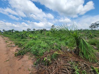 Invest Once and Earn Continuously From Every Harvest, Off Funaab, Alabata Road, Odeda, Ogun, Mixed-use Land for Sale