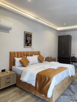 The Rosebud (a Fully Furnished Studio Apartment with Balcony in Guzape, Guzape, Guzape District, Abuja, Detached Duplex Short Let