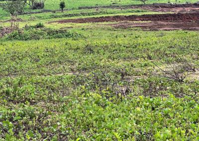 5680sqm Commercial Filling Station Plot, Orozo, Abuja, Filling Station for Sale