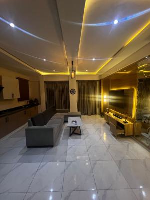 Fully Furnished & Serviced Luxury 1bedroom Apartment, Freedom Way Lekki., Lekki Phase 1, Lekki, Lagos, Mini Flat (room and Parlour) for Sale