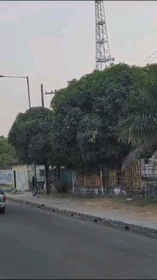 Standard (15,000sqm) 1.5 Hectares at Bode Thomas, Bode Thomas, Bode Thomas, Surulere, Lagos, Mixed-use Land for Sale