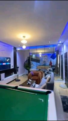 a Fully Furnished and Standard 2 Bedroom Flat, Ojuelegba, Ojuelegba, Surulere, Lagos, Flat / Apartment for Rent