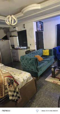a Fully Furnished 1 Room Studio Apartment with Open Plan Kitchen, Beach Front Estate, Orchid Road, Lekki, Lagos, Self Contain (single Rooms) for Rent