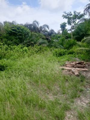 Prime Plot at a Beautiful Emerging Estate, 6th Avenue Ipose Estate Magbon, Badagry, Lagos, Mixed-use Land for Sale