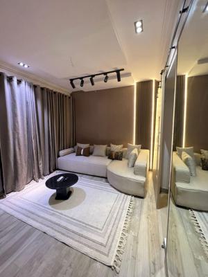 Luxury 1 Bedroom Apartment, Lekki Phase 1, Lekki, Lagos, Mini Flat (room and Parlour) Short Let