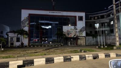 Premium Commercial Detached Duplex, Victoria Island (vi), Lagos, Commercial Property for Sale