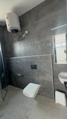 Semi Detached 4 Bedroom Duplex with Bq, Ikoyi, Lagos, Semi-detached Duplex for Rent